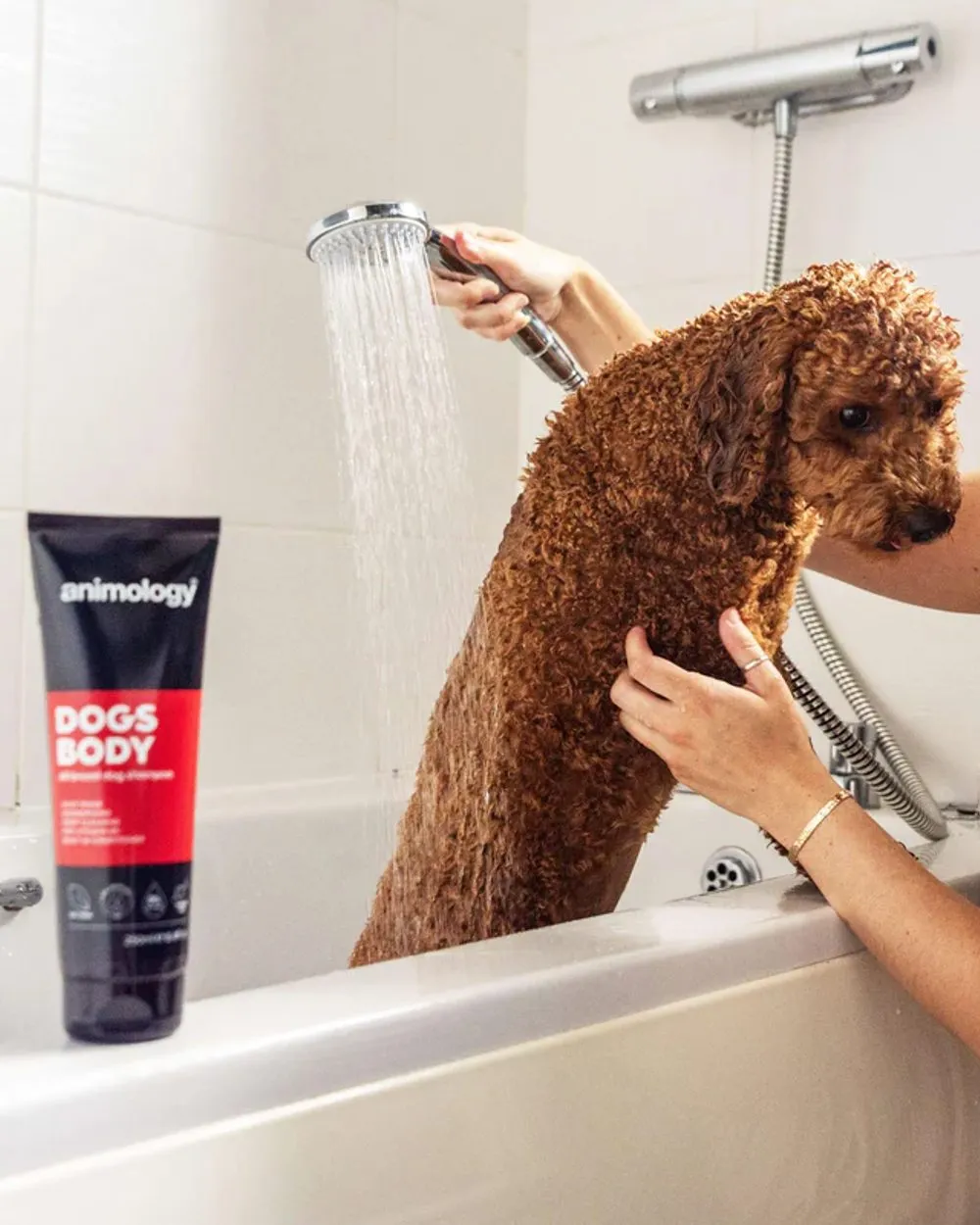 Animology Dogs Body Shampoo 250ml