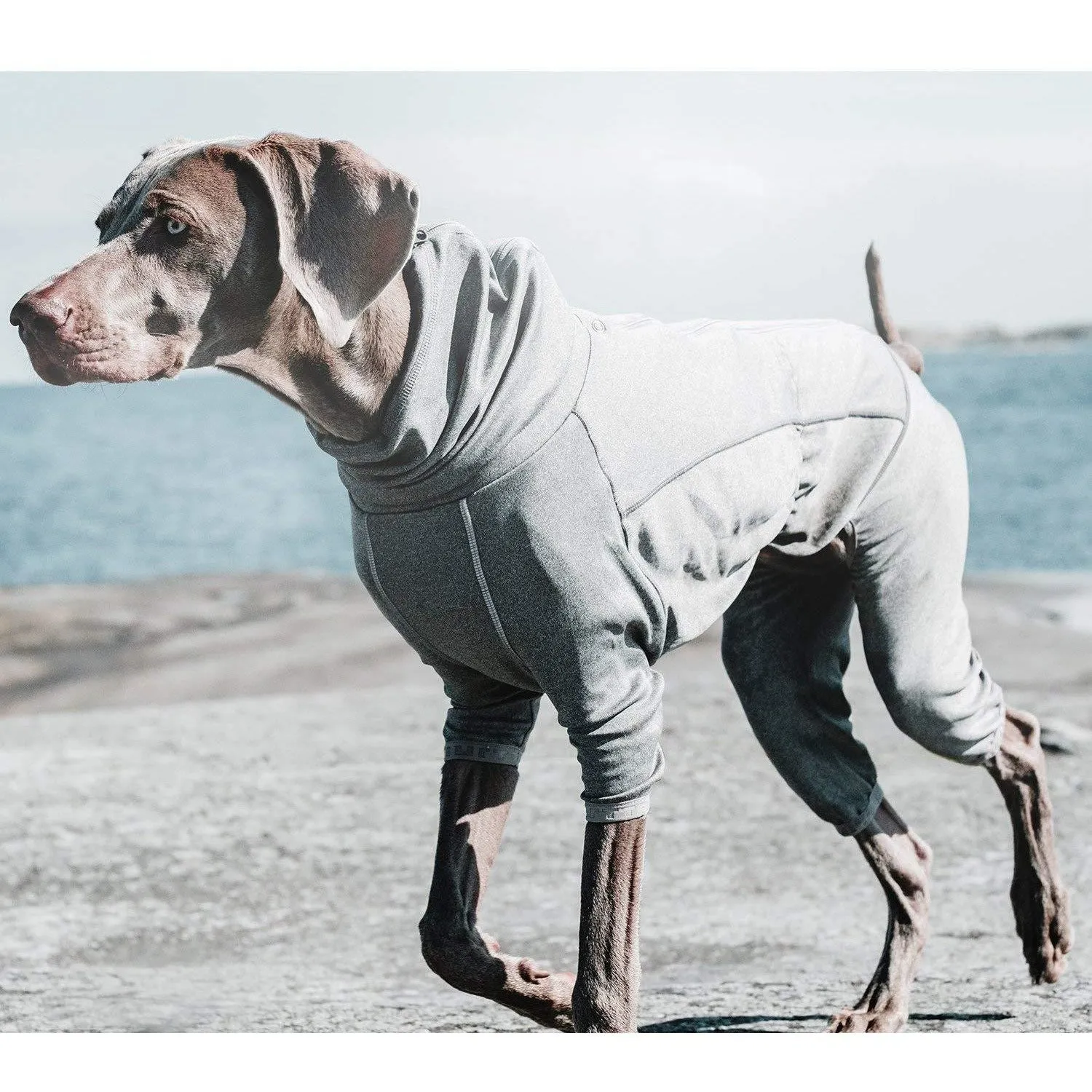 Hurtta - Dog Body Warmer