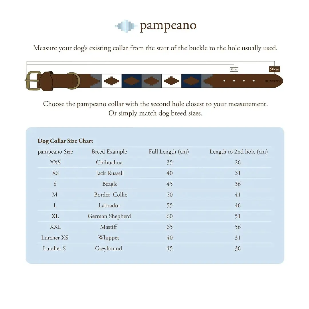 Leather Dog Collar Multi by Pampeano