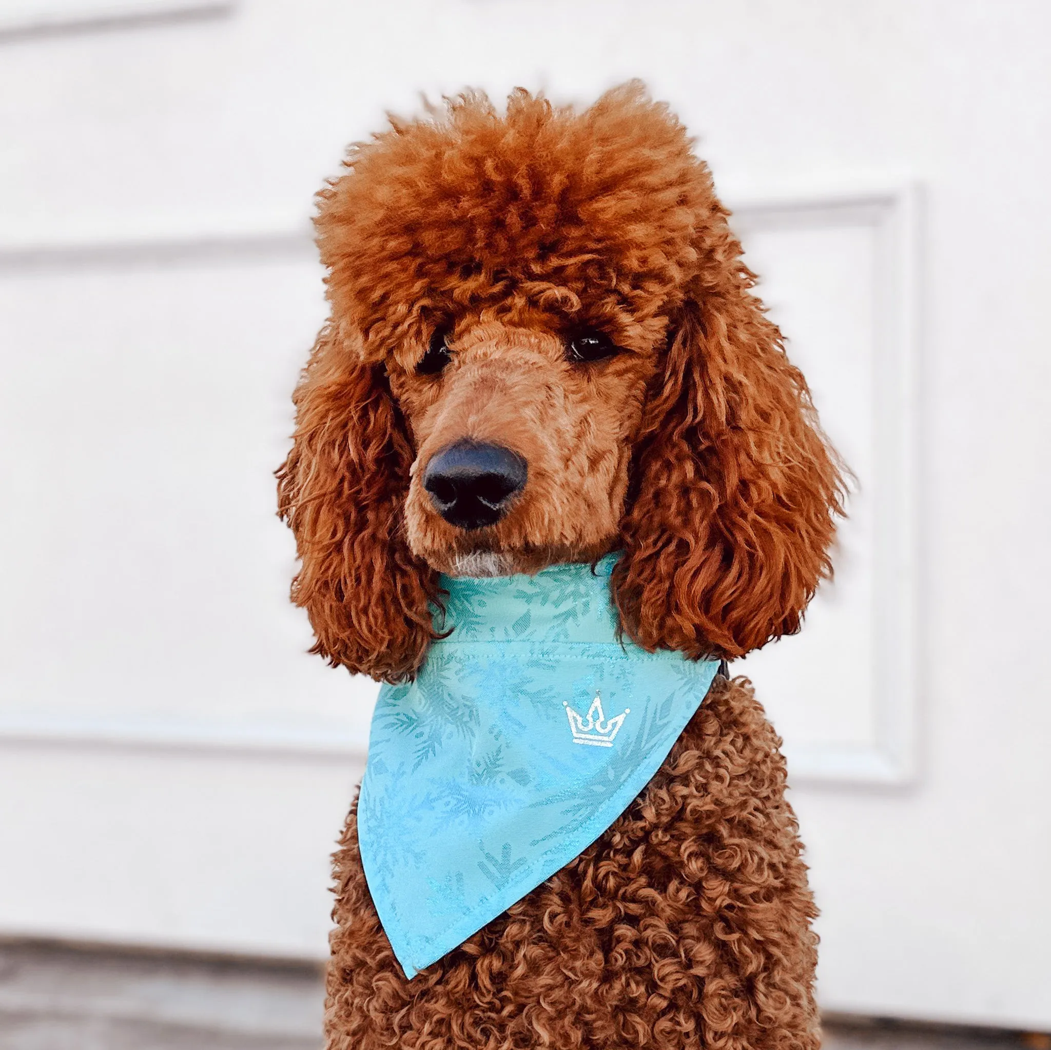 Snowflake Queen Pet Bandana