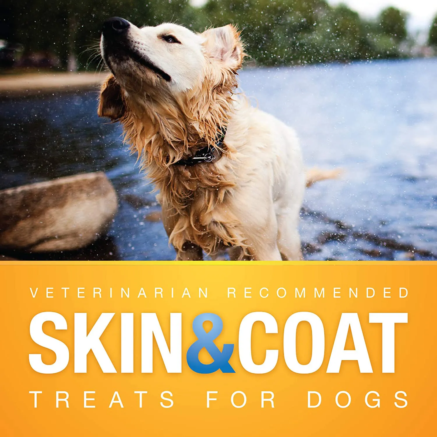 VetIQ Supplements for Dogs