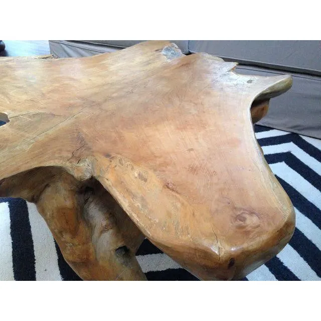 Vintage Teak Root Coffee Table