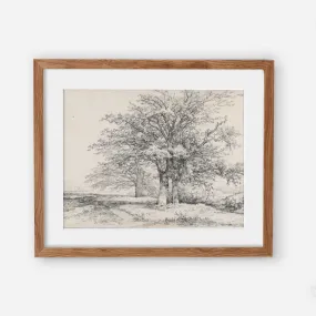 Vintage Tree Sketch Art Print